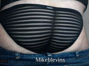 Mikeblevins