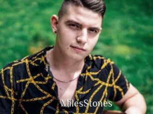 MilesStones Shop coquin