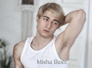Misha_Bush