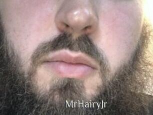 MrHairyJr