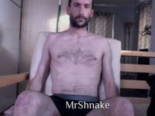 MrShnake