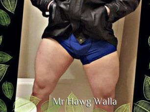 Mr_Hawg_Walla