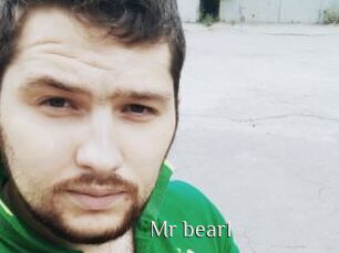 Mr_bear1