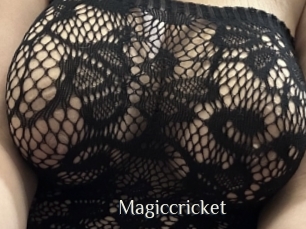 Magiccricket