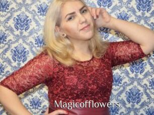 magicofflowers Shop coquin