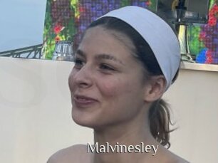 Malvinesley
