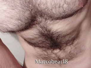 Marcobear18