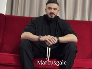 Marcusgale