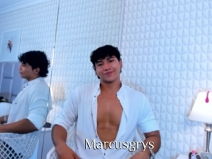 Marcusgrys