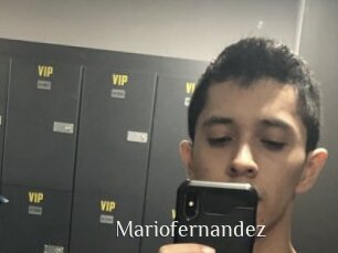 Mariofernandez