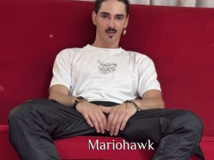 Mariohawk
