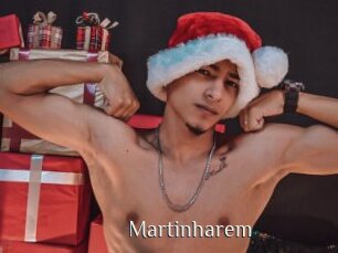 Martinharem