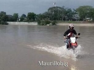 Maurillobig