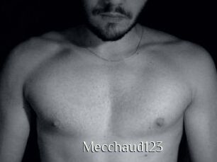 Mecchaud123