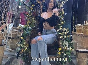 Meganhammer