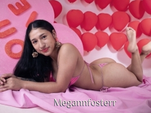Megannfosterr
