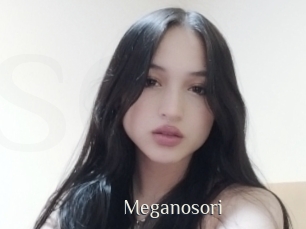 Meganosori