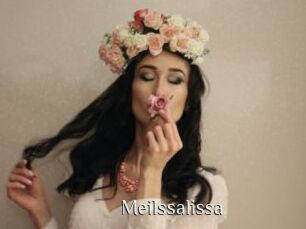 Meilssalissa