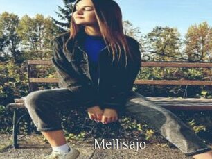 Mellisajo