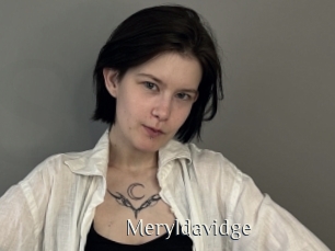 Meryldavidge