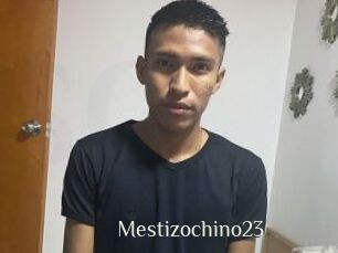 Mestizochino23