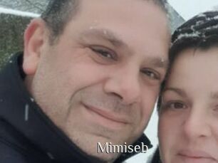 Mimiseb