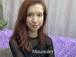 Minamiler
