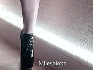 mllesalope Shop coquin