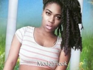 Modelmook