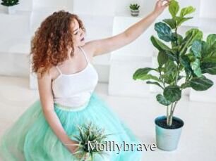 Molllybrave