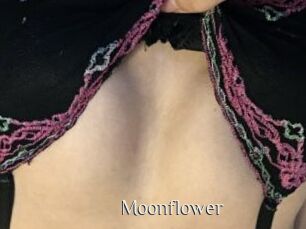Moonflower