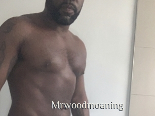 mrwoodmoaning Shop coquin