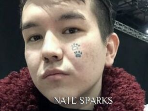 NATE_SPARKS