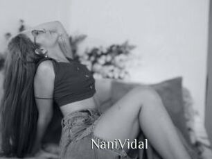 NaniVidal