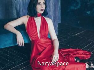 NaryaSpace