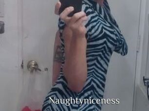 Naughtyniceness