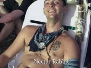 Nectar_Rabbit
