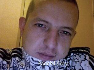 NiceNLGuy