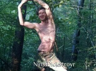 NinjaDickstroyr