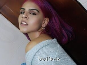 NoaDavis