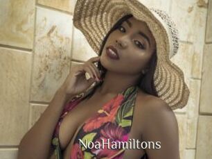 NoaHamiltons