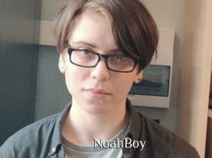 NoahBoy