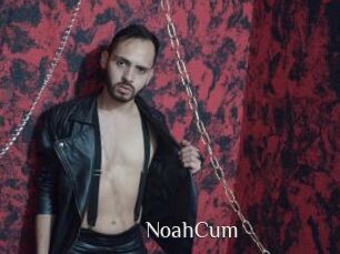 NoahCum