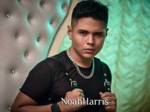 NoahHarris