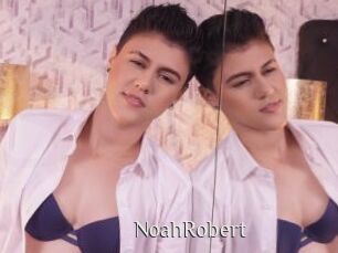 NoahRobert