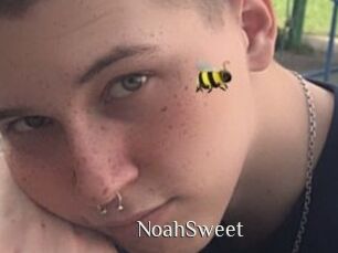 NoahSweet