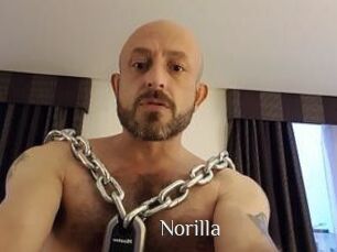 Norilla