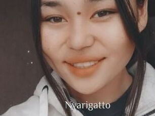 Nyarigatto