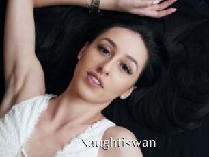 Naughtiswan