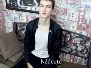 Nedcute